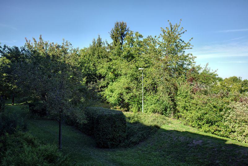 Výhled z balkónu do zeleně